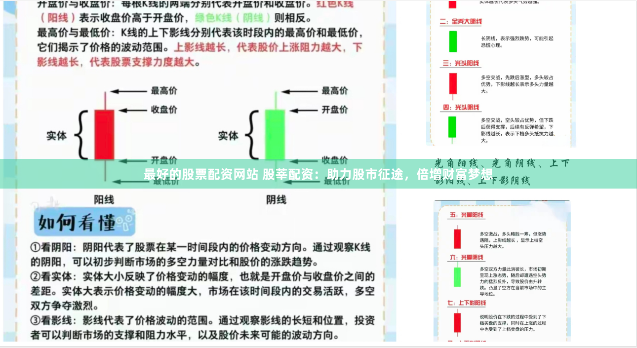 最好的股票配资网站 股莘配资：助力股市征途，倍增财富梦想