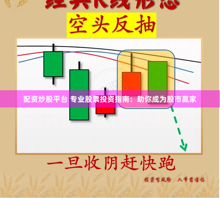 配资炒股平台 专业股票投资指南：助你成为股市赢家